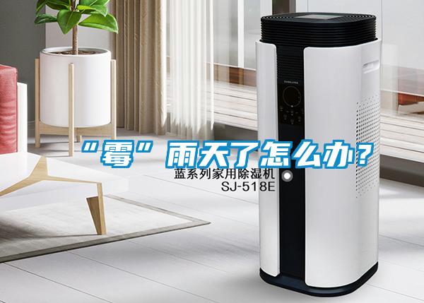 “霉”雨天了怎么辦？