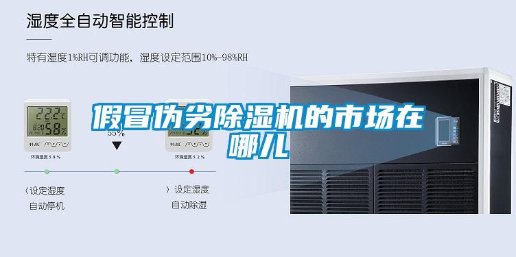 假冒偽劣除濕機(jī)的市場(chǎng)在哪兒
