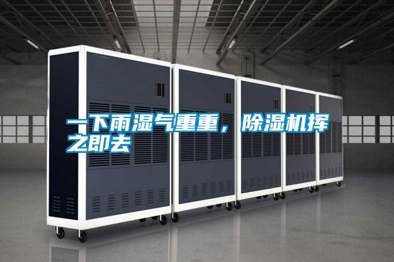 一下雨濕氣重重，除濕機(jī)揮之即去