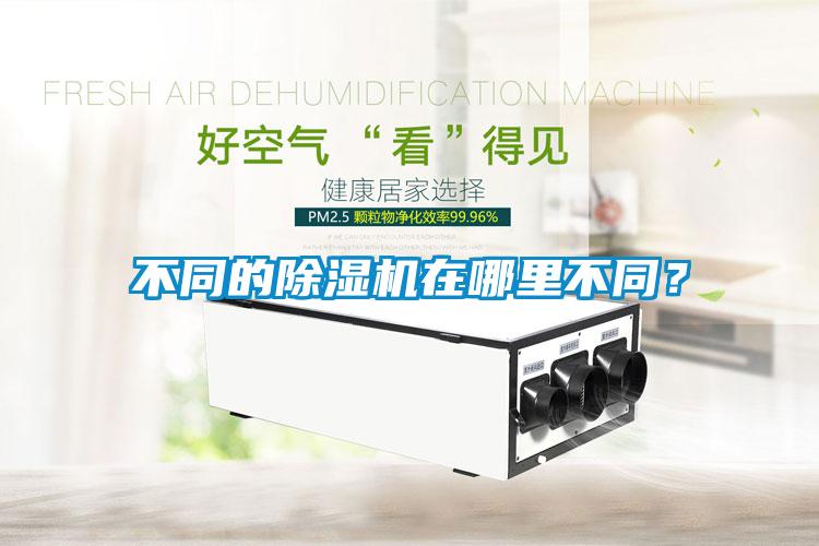 不同的除濕機在哪里不同？