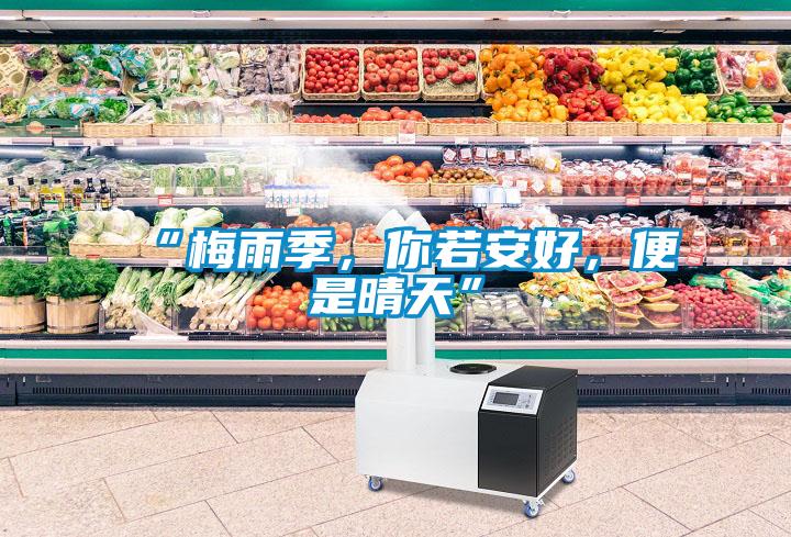 “梅雨季，你若安好，便是晴天”