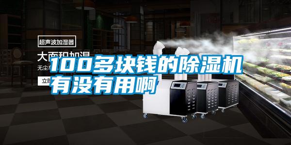 100多塊錢(qián)的除濕機(jī)有沒(méi)有用啊
