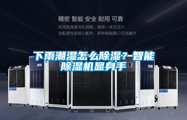 下雨潮濕怎么除濕？智能除濕機(jī)顯身手