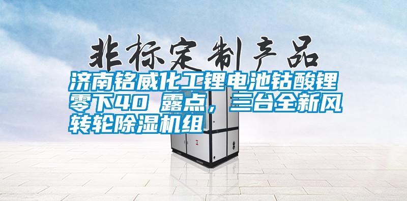 濟(jì)南銘威化工鋰電池鈷酸鋰零下40℃露點(diǎn)，三臺(tái)全新風(fēng)轉(zhuǎn)輪除濕機(jī)組