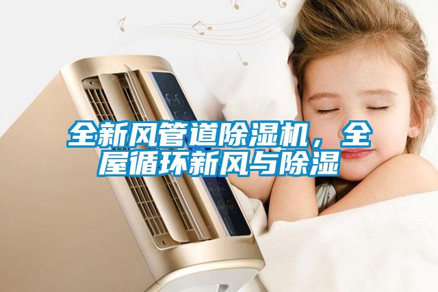 全新風管道除濕機，全屋循環(huán)新風與除濕