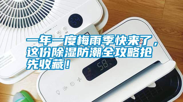 一年一度梅雨季快來了，這份除濕防潮全攻略搶先收藏！