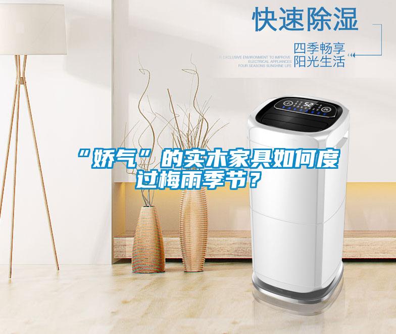 “嬌氣”的實(shí)木家具如何度過(guò)梅雨季節(jié)？