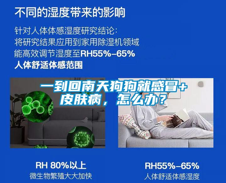 一到回南天狗狗就感冒+皮膚病，怎么辦？