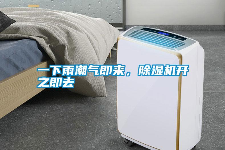一下雨潮氣即來(lái)，除濕機(jī)開之即去