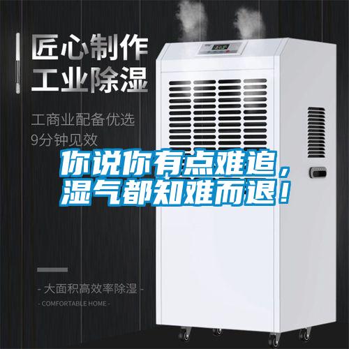你說(shuō)你有點(diǎn)難追，濕氣都知難而退！