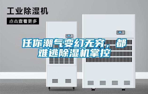 任你潮氣變幻無窮，都難逃除濕機掌控