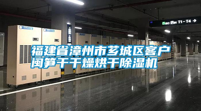 福建省漳州市薌城區(qū)客戶(hù)閩筍干干燥烘干除濕機(jī)