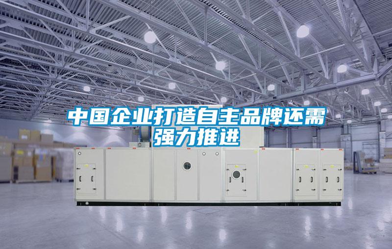 中國(guó)企業(yè)打造自主品牌還需強(qiáng)力推進(jìn)