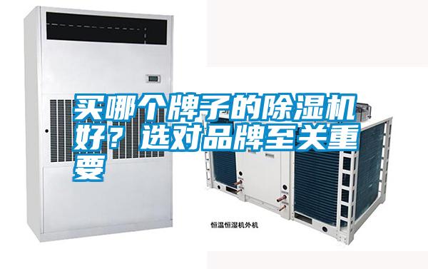 買哪個(gè)牌子的除濕機(jī)好？選對品牌至關(guān)重要