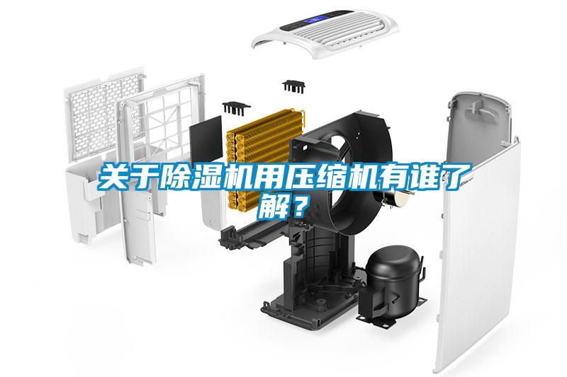 關(guān)于除濕機(jī)用壓縮機(jī)有誰(shuí)了解？
