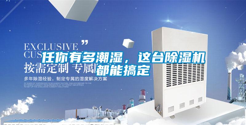 任你有多潮濕，這臺除濕機都能搞定
