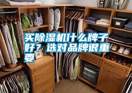 買除濕機(jī)什么牌子好？選對品牌很重要