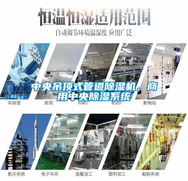中央吊頂式管道除濕機，商用中央除濕系統(tǒng)