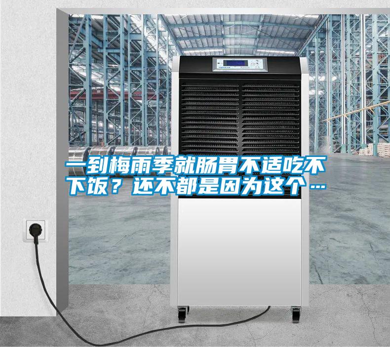 一到梅雨季就腸胃不適吃不下飯？還不都是因?yàn)檫@個(gè)…