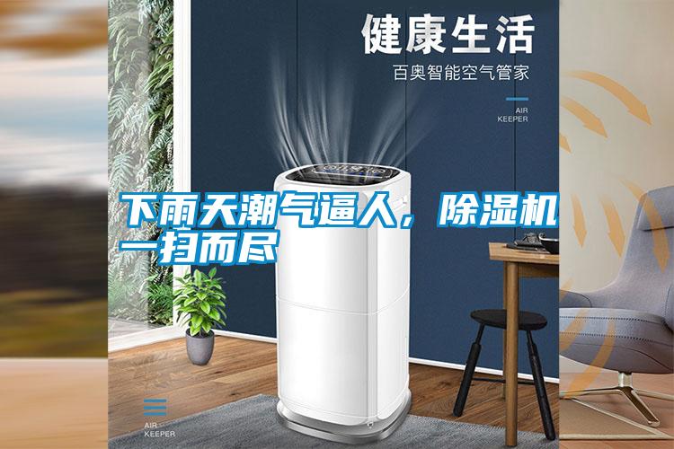 下雨天潮氣逼人，除濕機一掃而盡