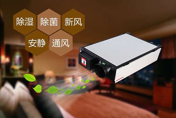 為什么冷庫除濕機(jī)會出現(xiàn)結(jié)霜的情況？