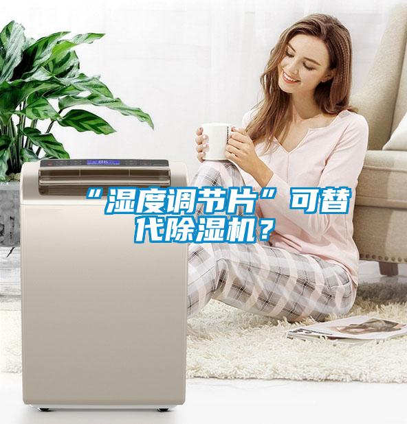“濕度調(diào)節(jié)片”可替代除濕機？