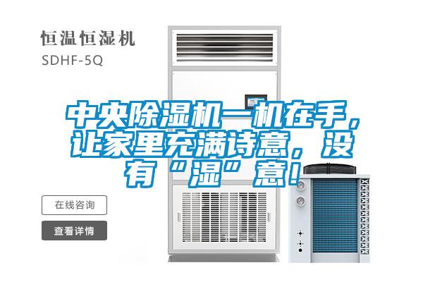 中央除濕機(jī)一機(jī)在手，讓家里充滿詩意，沒有“濕”意！