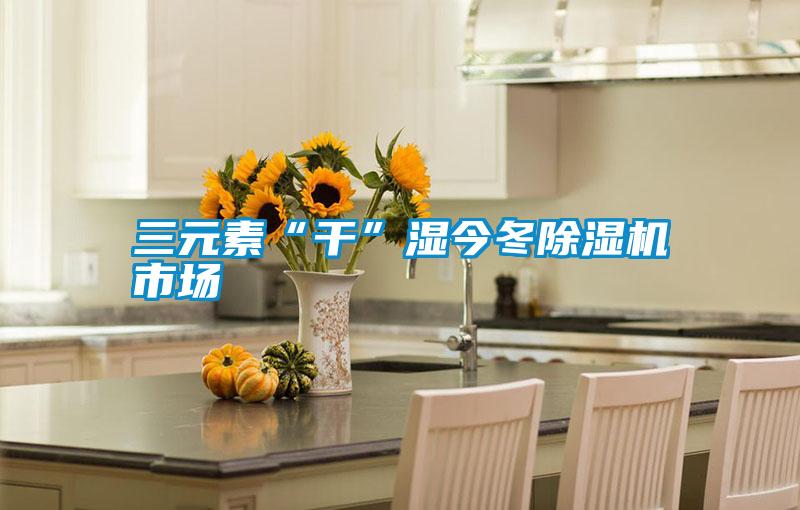 三元素“干”濕今冬除濕機(jī)市場