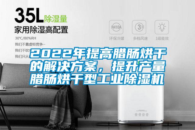 2022年提高臘腸烘干的解決方案，提升產(chǎn)量臘腸烘干型工業(yè)除濕機