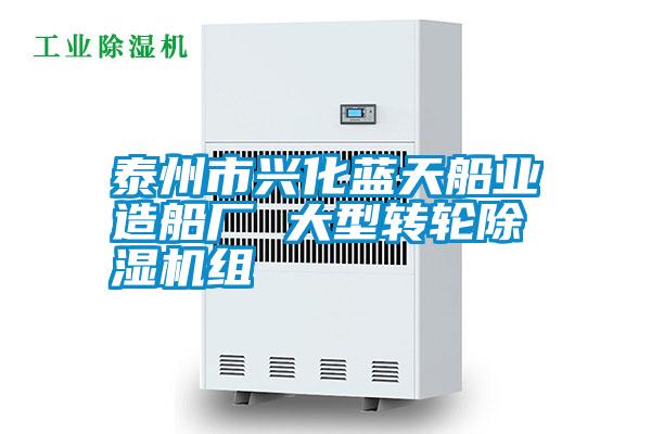 泰州市興化藍天船業(yè)造船廠 大型轉輪除濕機組