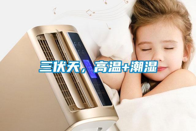 三伏天，高溫+潮濕