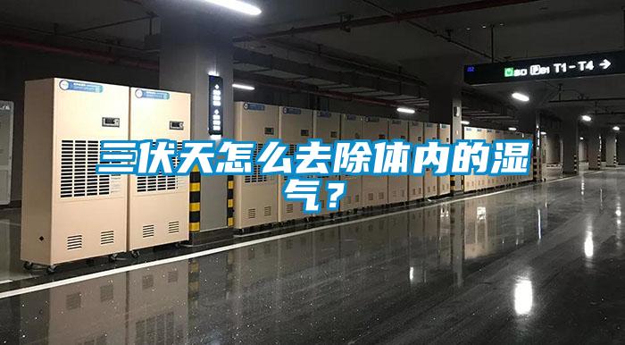 三伏天怎么去除體內(nèi)的濕氣？