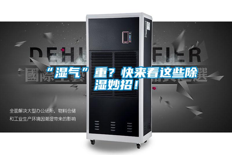 “濕氣”重？快來(lái)看這些除濕妙招！