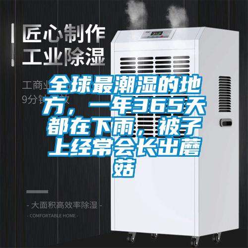 全球最潮濕的地方，一年365天都在下雨，被子上經(jīng)常會(huì)長(zhǎng)出蘑菇