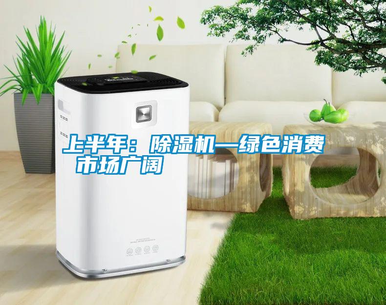 上半年：除濕機(jī)—綠色消費(fèi) 市場廣闊