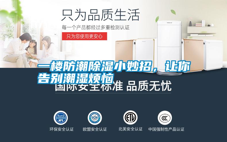 一樓防潮除濕小妙招，讓你告別潮濕煩惱