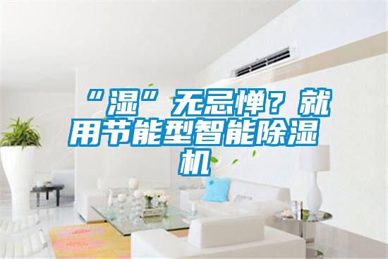 “濕”無忌憚？就用節(jié)能型智能除濕機(jī)