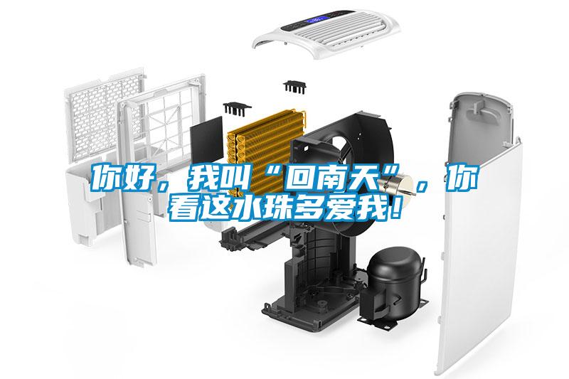 你好，我叫“回南天”，你看這水珠多愛我！