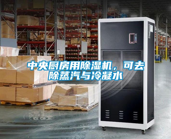中央廚房用除濕機(jī)，可去除蒸汽與冷凝水