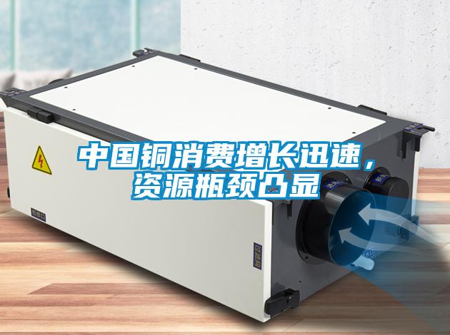 中國銅消費增長迅速，資源瓶頸凸顯
