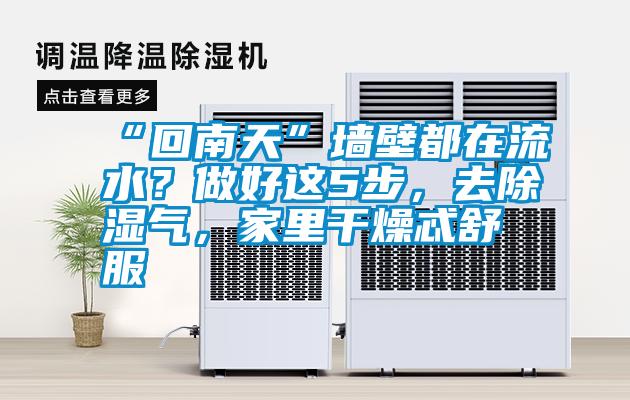 “回南天”墻壁都在流水？做好這5步，去除濕氣，家里干燥忒舒服