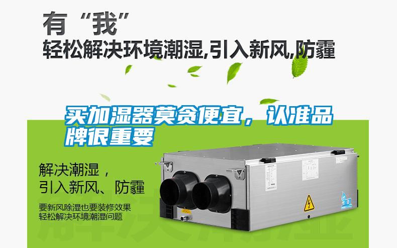 買加濕器莫貪便宜，認(rèn)準(zhǔn)品牌很重要