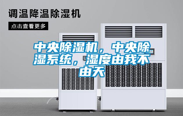 中央除濕機(jī)，中央除濕系統(tǒng)，濕度由我不由天