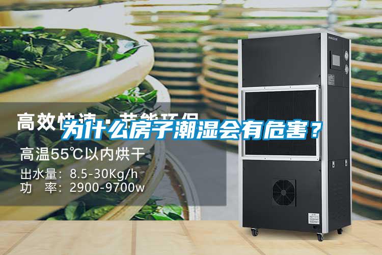 為什么房子潮濕會有危害？