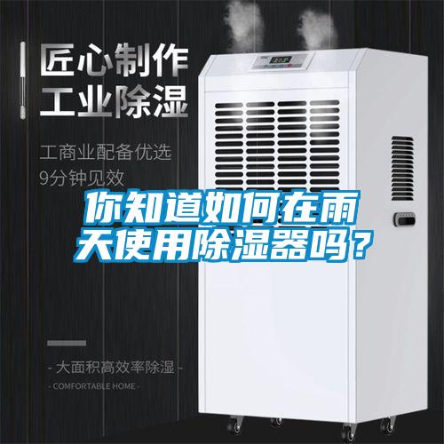你知道如何在雨天使用除濕器嗎？