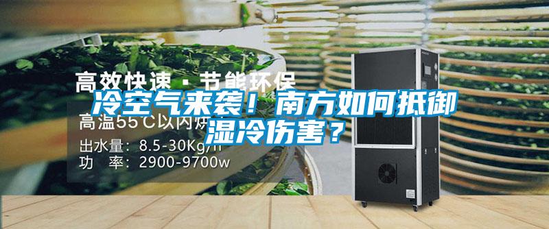 冷空氣來(lái)襲！南方如何抵御濕冷傷害？