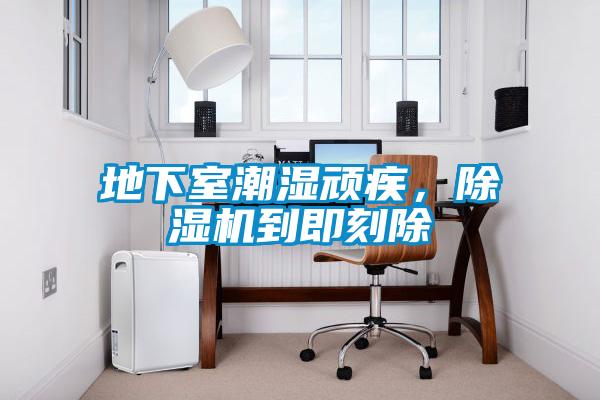 地下室潮濕頑疾，除濕機(jī)到即刻除