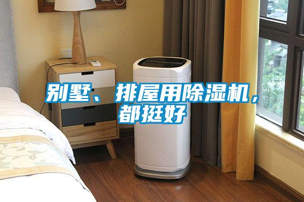 別墅、排屋用除濕機(jī)，都挺好