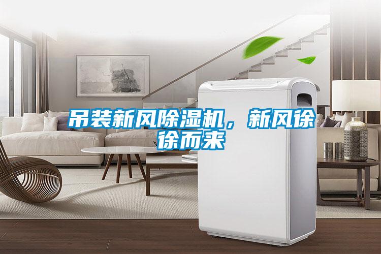 吊裝新風(fēng)除濕機(jī)，新風(fēng)徐徐而來