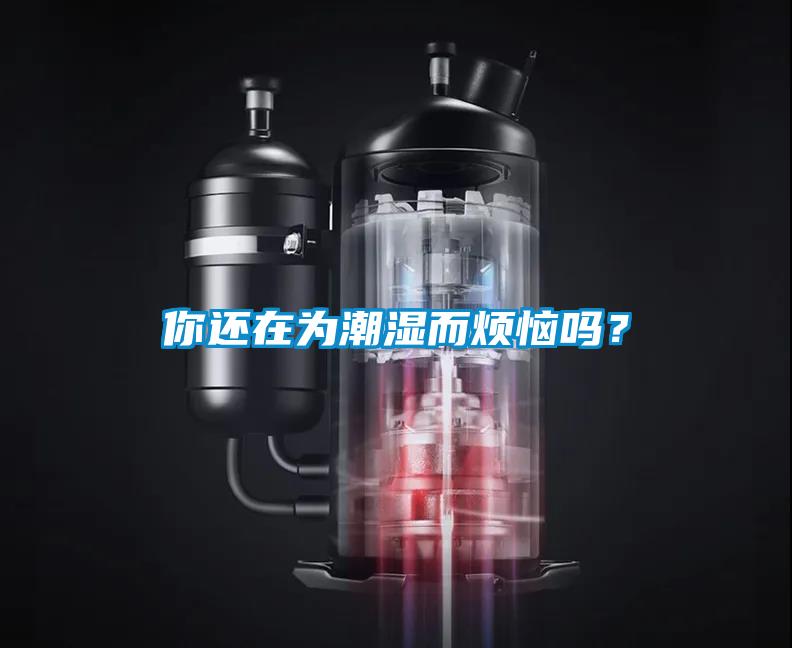 你還在為潮濕而煩惱嗎？